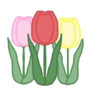 019