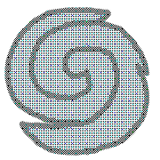 007