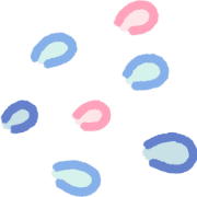 029