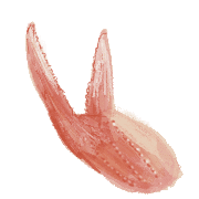 039