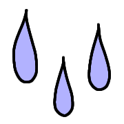 029