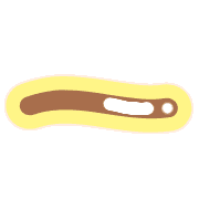 161