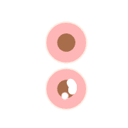 244