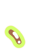 256