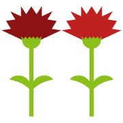 009