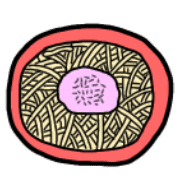 006