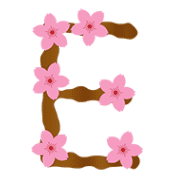005