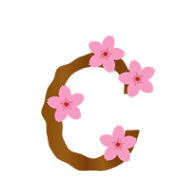029