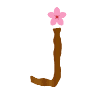 036