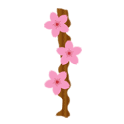 081