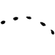 036
