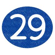 029