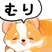 003