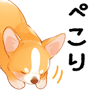 005