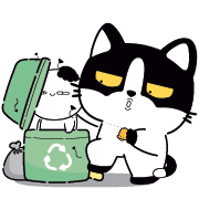 009