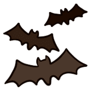 025