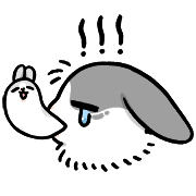 031