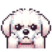 019