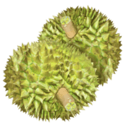 004