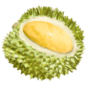 008