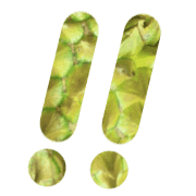 025