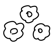 008