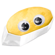 005