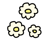 029