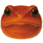 005