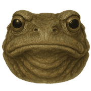 008