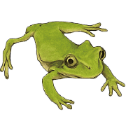 040