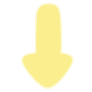 261