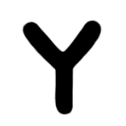 025