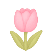 029