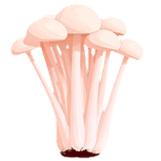 005