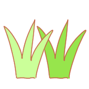 029