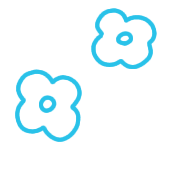 036
