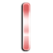 081