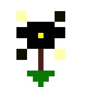 019