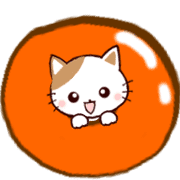 006