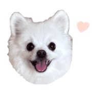 004