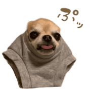 026