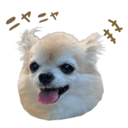 031