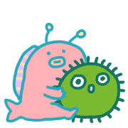 029