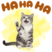 007