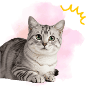 031