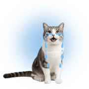 040