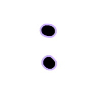 244
