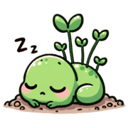 029