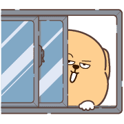 017